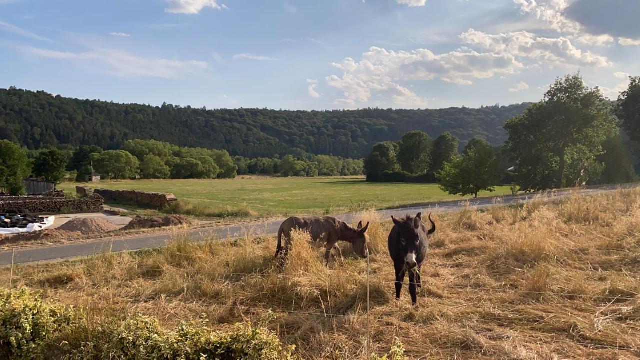 Flussnest Fulda Leilighet Eksteriør bilde